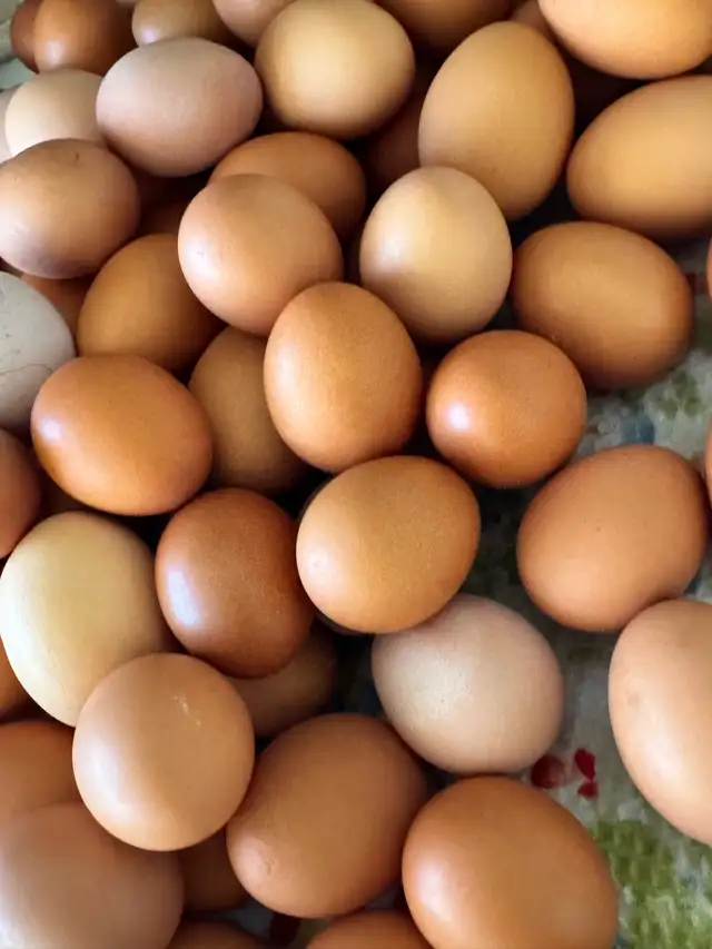 Fresh Farm Eggs