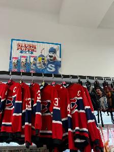 GO HABS GO - Photo 2