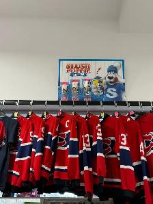 GO HABS GO - Photo 3
