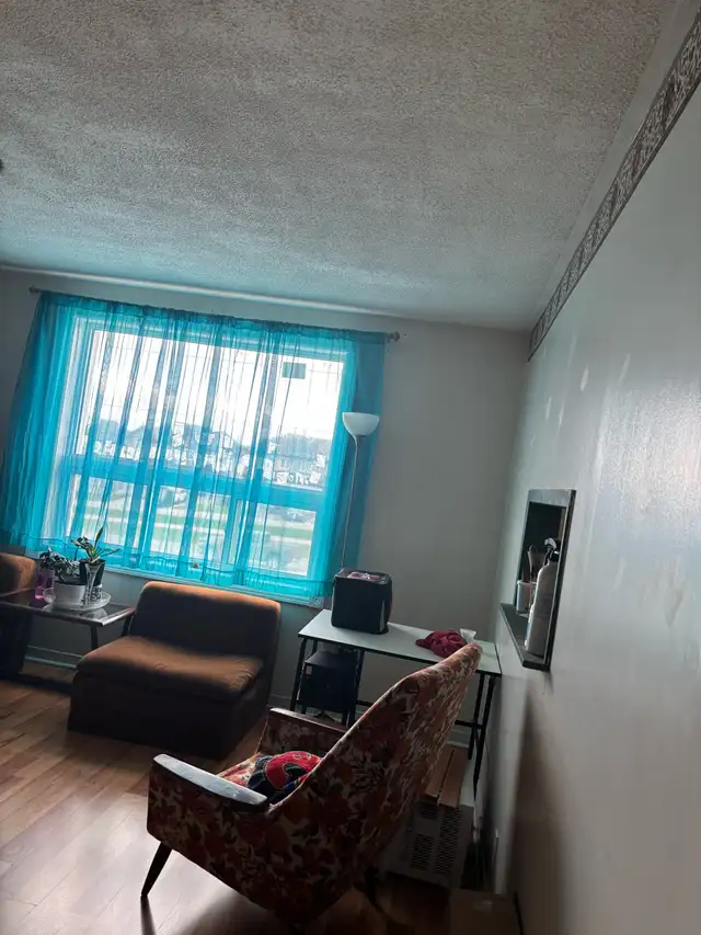 two bedroom with shared accommodation available 1stMay - Photo 3