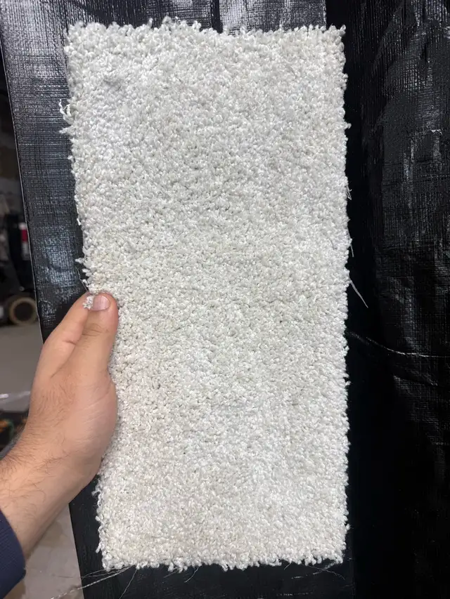 Carpet with pad & installation ($3.50/sqft) - Photo 2