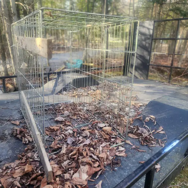 Cage pour animaux  OUI C'EST DISPONIBLE