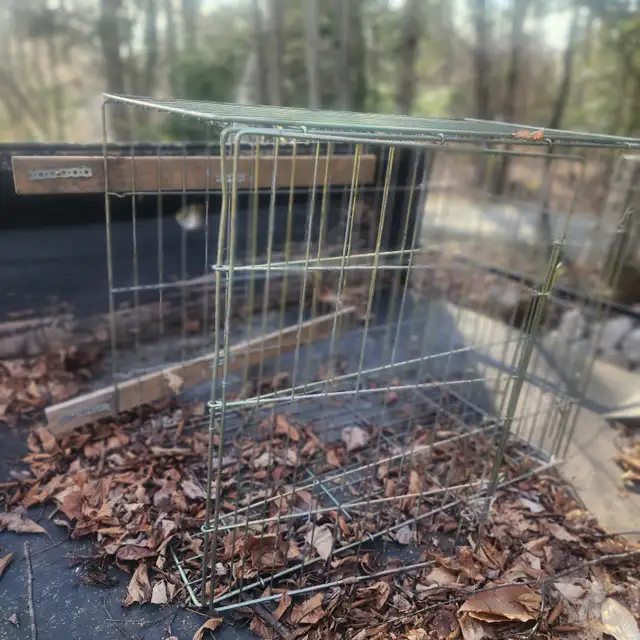 Cage pour animaux  OUI C'EST DISPONIBLE - Photo 2