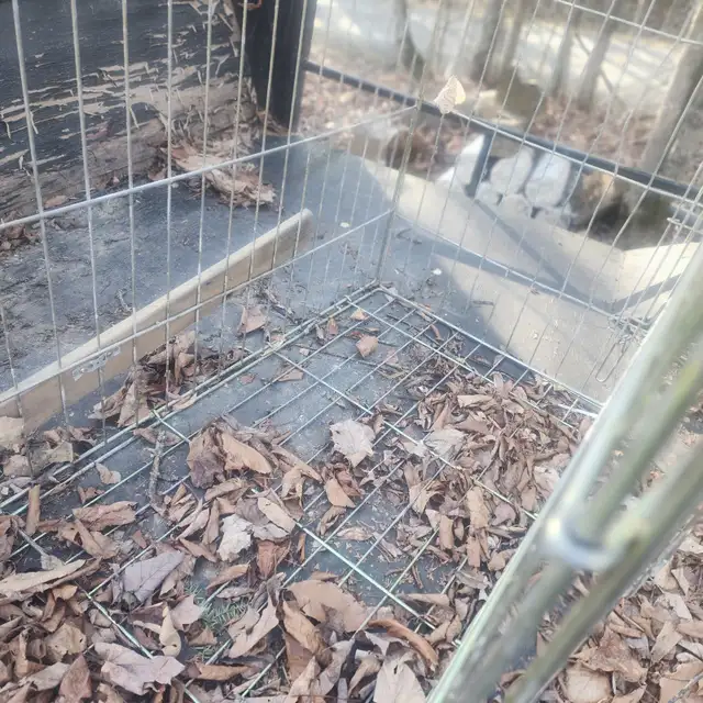 Cage pour animaux  OUI C'EST DISPONIBLE - Photo 3