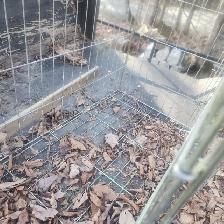 Cage pour animaux  OUI C'EST DISPONIBLE - Photo 3