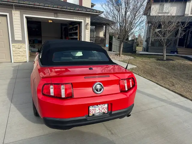 2010 Mustang convertible c/w Pony Package - Photo 5
