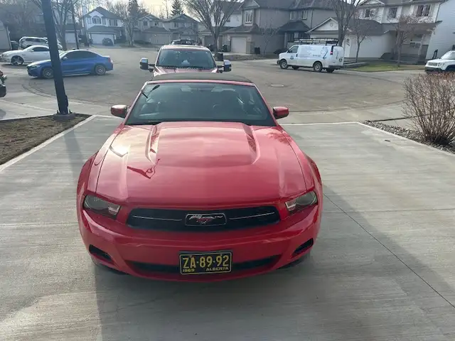 2010 Mustang convertible c/w Pony Package - Photo 9