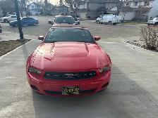 2010 Mustang convertible c/w Pony Package - Photo 9