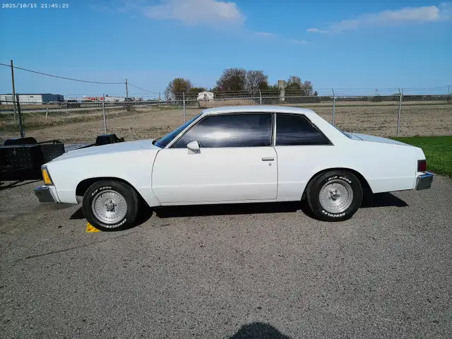 1981 Malibu - Photo 3