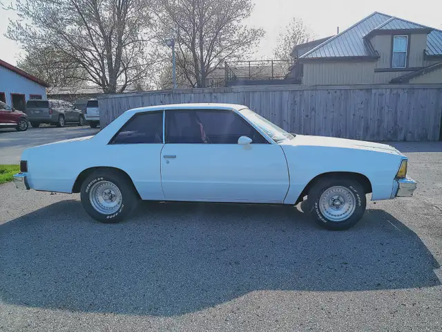 1981 Malibu - Photo 4