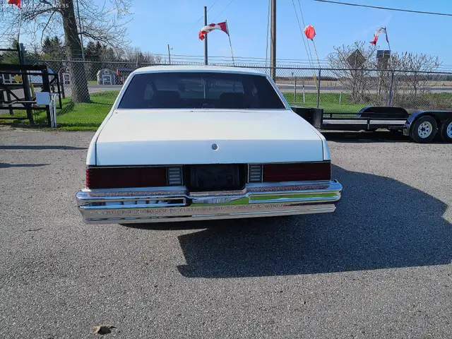 1981 Malibu - Photo 6