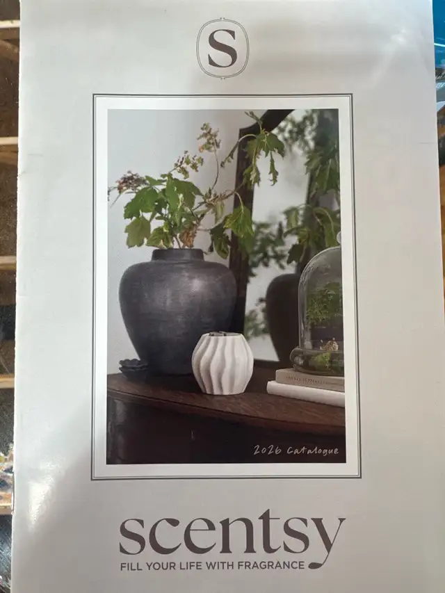 SCENTSY DEALER