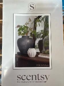 SCENTSY DEALER