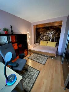 1 room for rent  Downtown Montreal near Atwater M