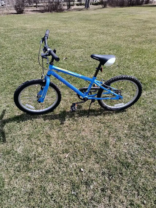 Kids super cycle bike 20'
