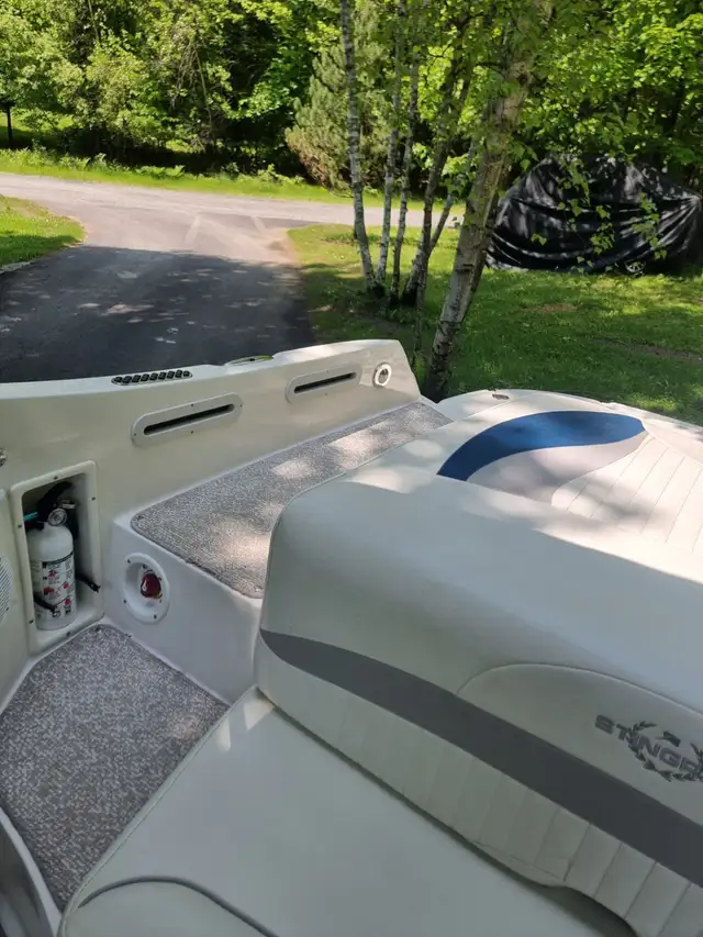 STINGRAY CR215  2011 - Photo 4