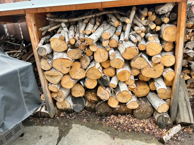 WOOD SPLIT -BIRCH & SPRUCE - $200- U PICK UP (780) 264-8959 - Photo 4