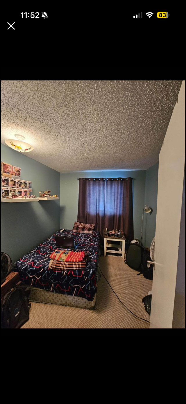 2 rooms for rent - Photo 9