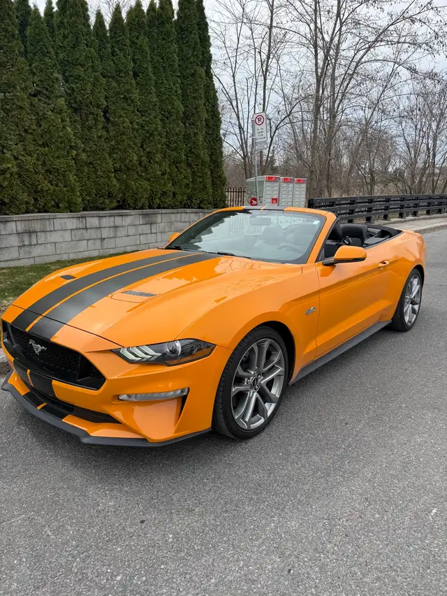 MUSTANG GT CONVERTIBLE  401A package
