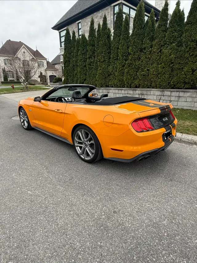 MUSTANG GT CONVERTIBLE  401A package - Photo 3