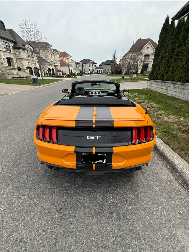 MUSTANG GT CONVERTIBLE  401A package - Photo 4