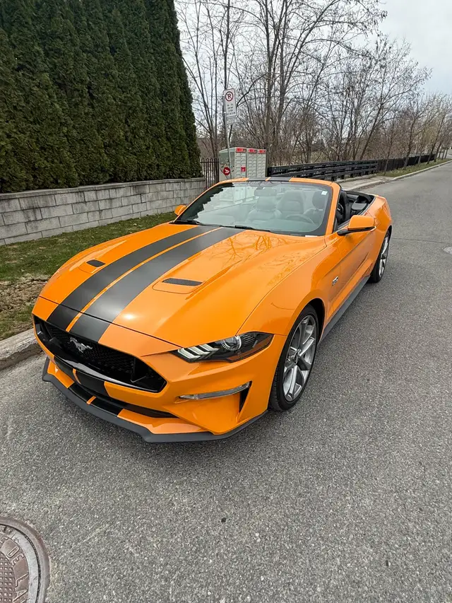 MUSTANG GT CONVERTIBLE  401A package - Photo 5