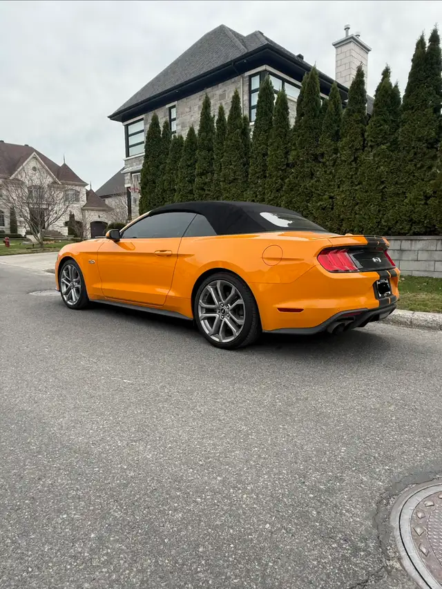 MUSTANG GT CONVERTIBLE  401A package - Photo 7