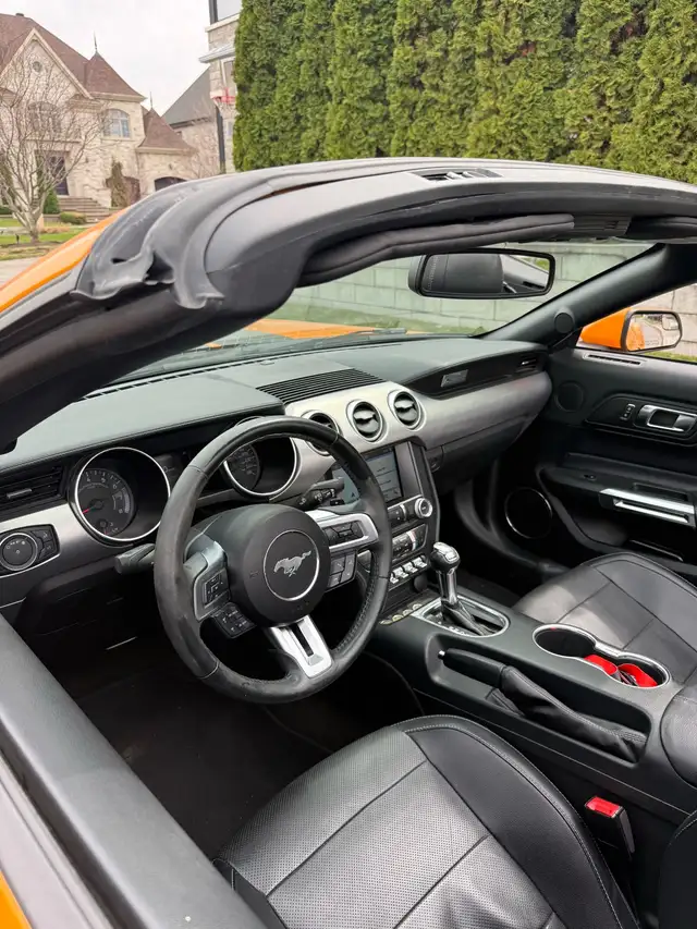 MUSTANG GT CONVERTIBLE  401A package - Photo 9