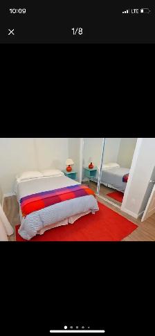 Big & Bright Room near Finch Subway - Photo 2