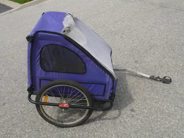 SELLING TODAY BIKE TRAILER FOR TWO KIDS EVERYTHING INCLUDED! - Photo 3