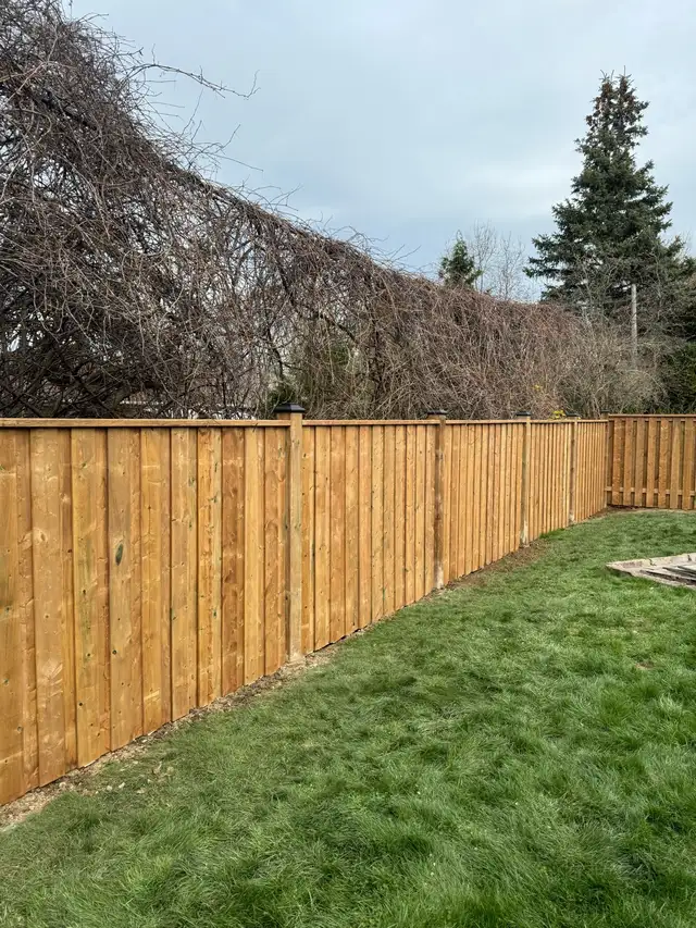 Fence Repair & New Fence Installation - Photo 3