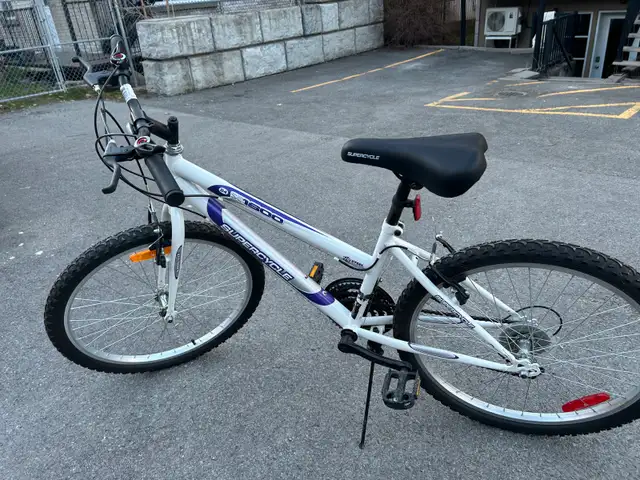Vélo 20 pouces pour enfants