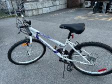 Vélo 20 pouces pour enfants