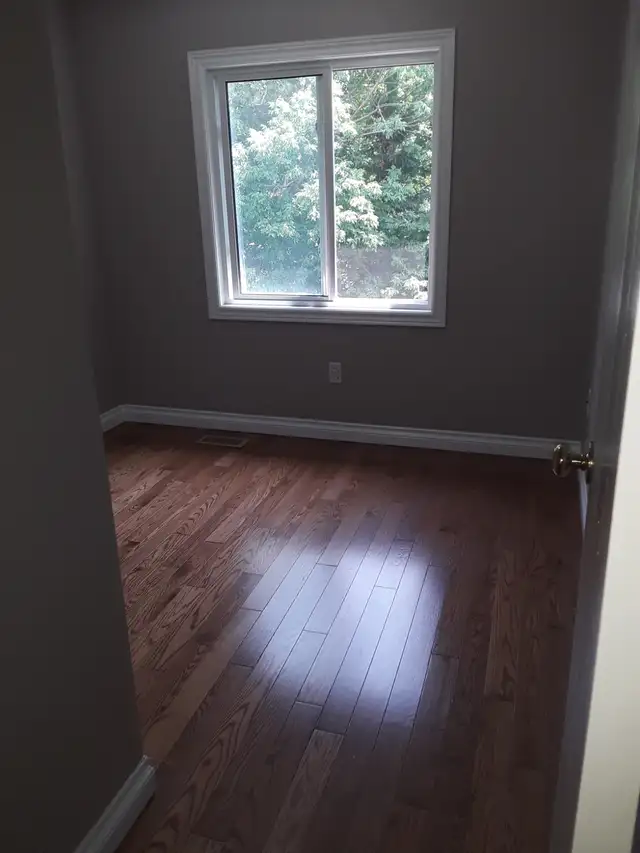 Room for Rent (Female - London Rd) - Photo 2