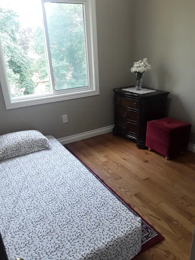 Room for Rent (Female - London Rd) - Photo 5