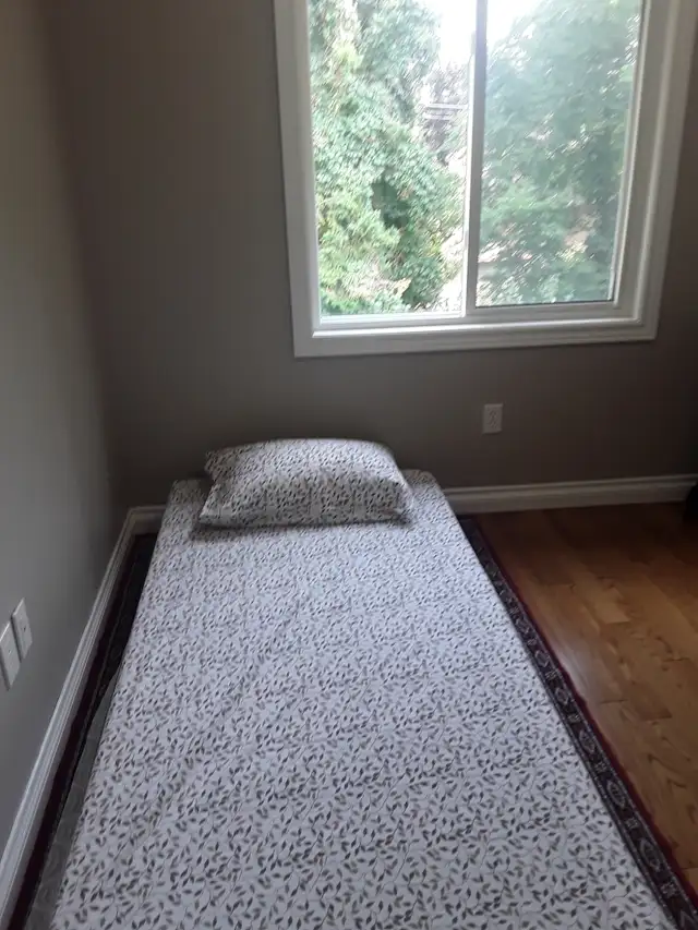 Room for Rent (Female - London Rd) - Photo 6