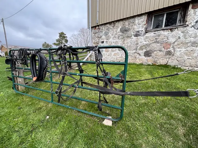 Harness - Horse