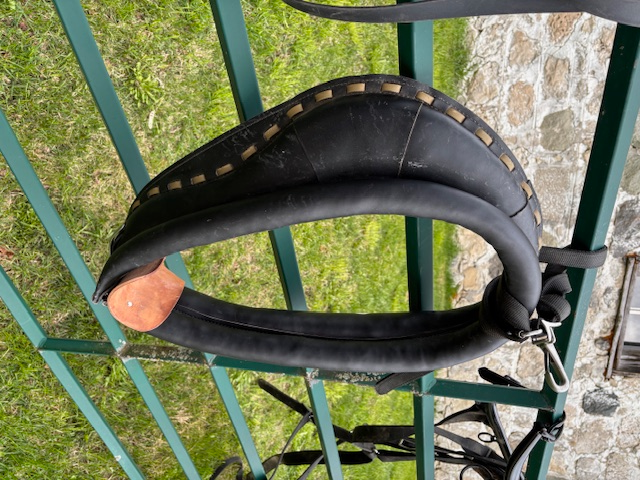 Harness - Horse - Photo 3