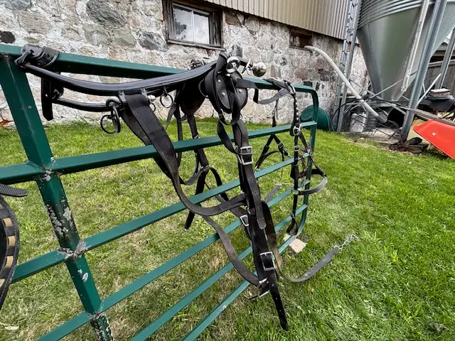 Harness - Horse - Photo 5