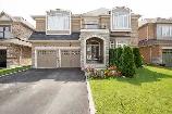 Basement /Apartment for rent in Castlemore (Walkout)