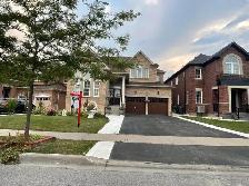 New Legal Basment Appartment for Lease