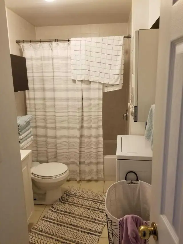ONE BEDROOM BASEMENT APT. FOR RENT - Photo 7
