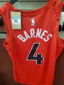 Barnes 4 Raptors jersey