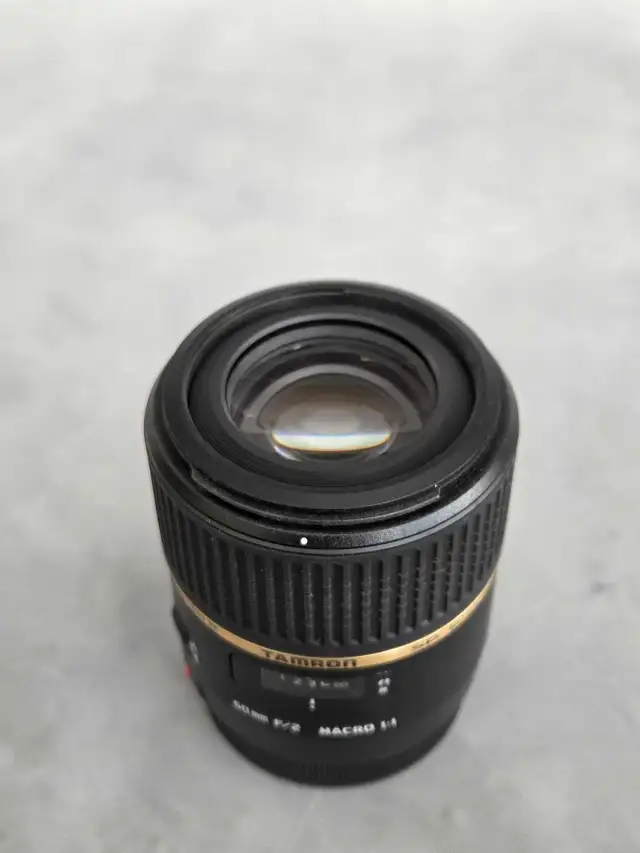 Tamron 60mm F2, 1:1 ratio Macro Lens - Photo 4