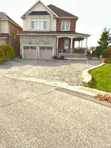 one bedroom apartment walk out $1700 - Photo 10