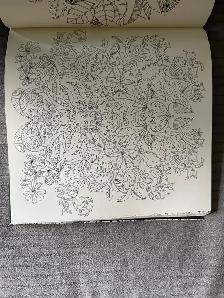 Adult colouring book (brand new) - Photo 3