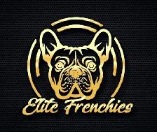 French Bulldog Puppies - Photo 7