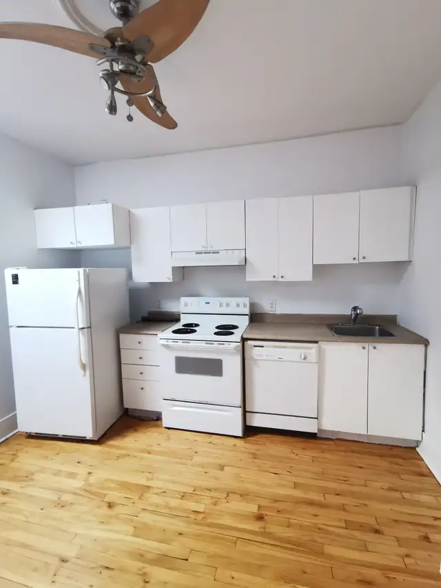 Chambre dans un 5 1/2 Métro Villa-Maria - Photo 3