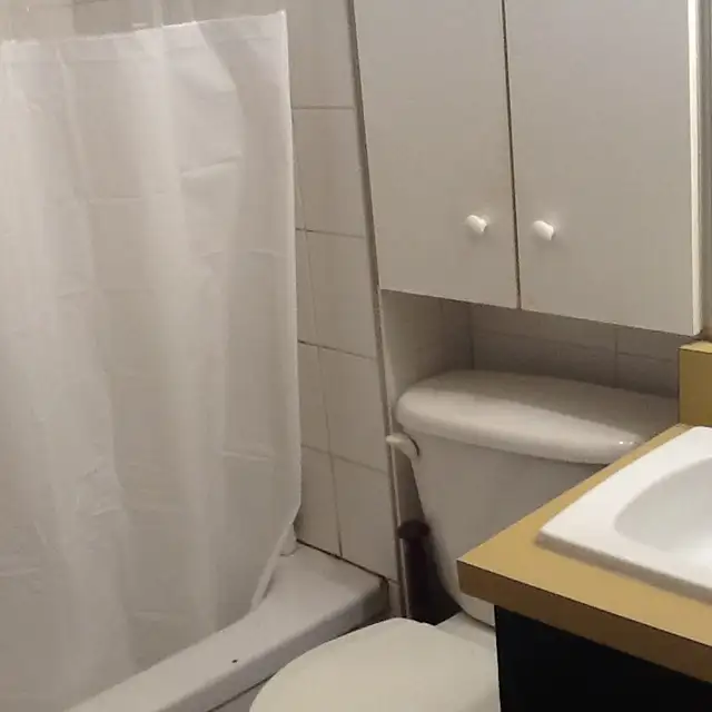 1-BEDROOM APARTMENT DOWNTOWN TORONTO FOR RENT W/ BALCONY - Photo 7