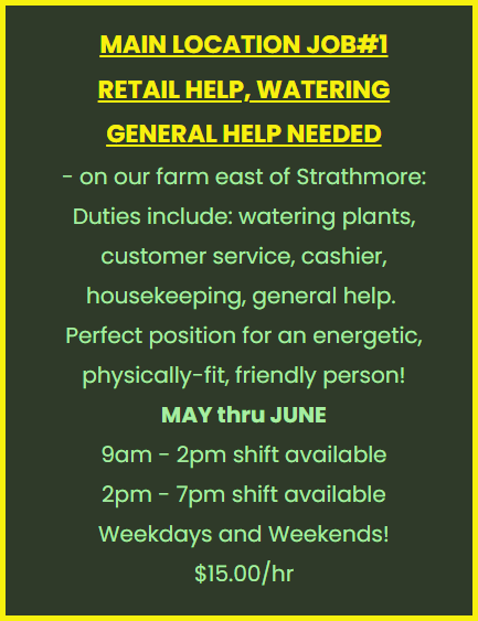 STRATHMORE HELP WANTED - Photo 2